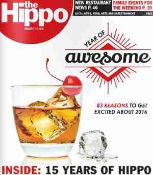 Hippo: 2016 Year Of Awesome